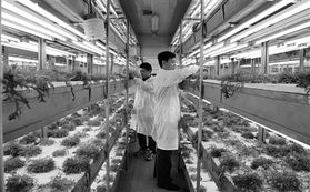 信息技術(shù)與生物技術(shù)雙輪驅(qū)動，開啟現(xiàn)代農(nóng)業(yè)發(fā)展新篇章