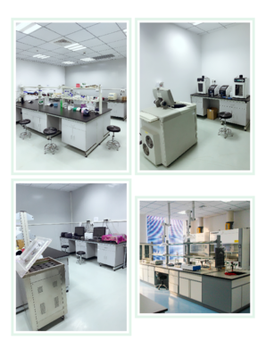 Abbkine偶聯(lián)標(biāo)記技術(shù)服務(wù)正式上線，引領(lǐng)生物技術(shù)開發(fā)新篇章