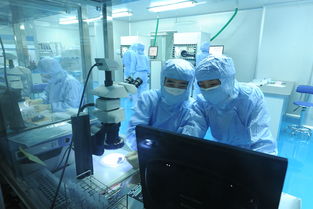 美迪西 分子生物學(xué)與生物技術(shù)開發(fā)服務(wù)，驅(qū)動創(chuàng)新藥物研發(fā)